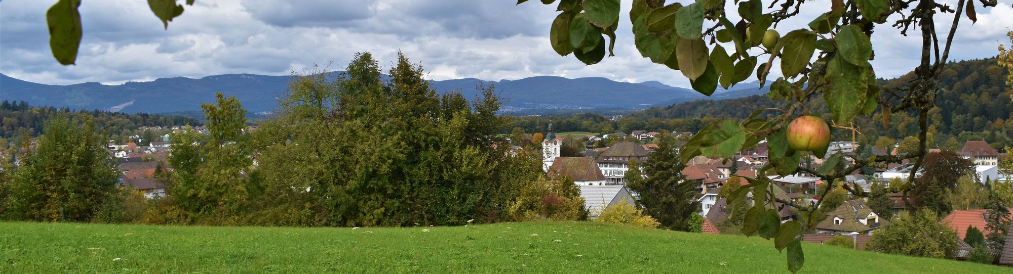 headerbild